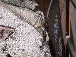 2007-0613-1336-35.jpg